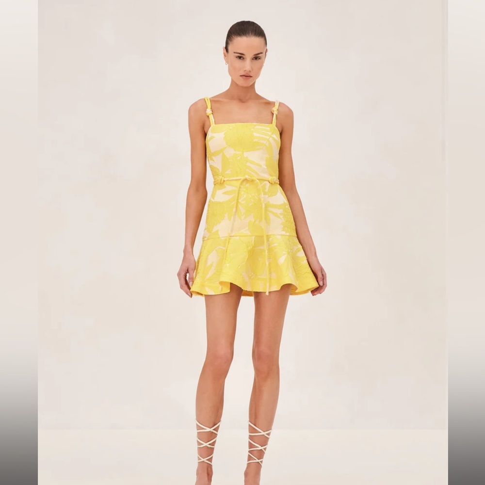 NWOT ALEXIS ALIK DRESS SIZE SMALL | WORN ONCE
